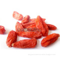 Dried Wolfberry